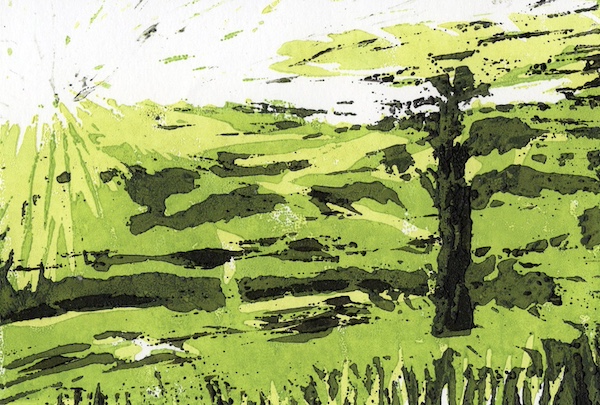 Crude yellowy-green inky sunlight over fields containing one bare silhouetted tree and a low-flying gull