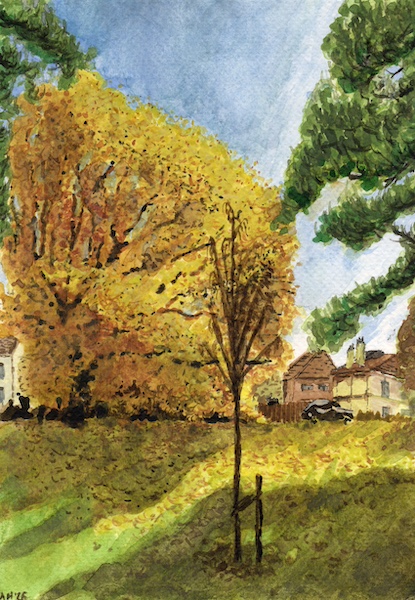Tree with yellow leaves in a grassy park, the sunlight zigzagging down from the top of the tree to the scattered leaves on the grass below, painted in watercolour