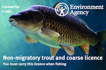 An Environment Agency Non-migratory trout and coarse licence with an image of a carp