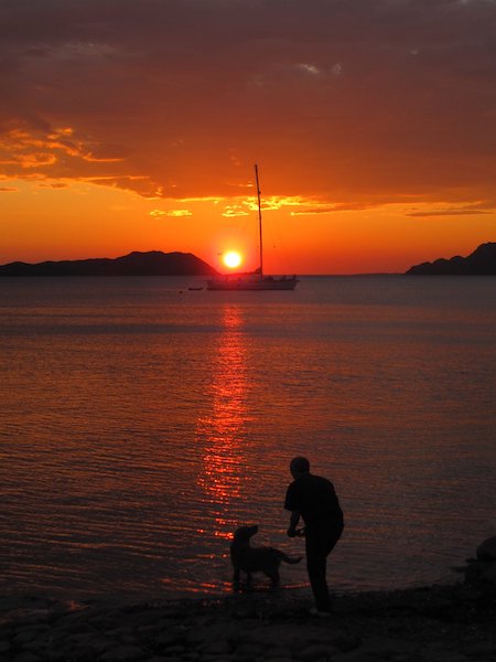 Man and dog by water at sunset