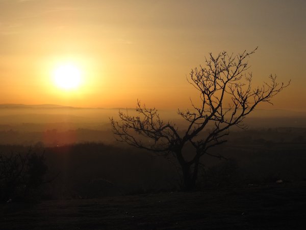 Sunset behind wintry tree