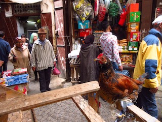 Souk chicken